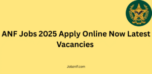 ANF Jobs 2025