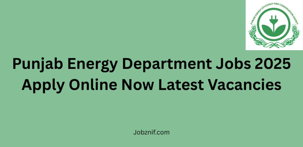 Punjab Energy Department Jobs 2025 