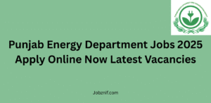 Punjab Energy Department Jobs 2025